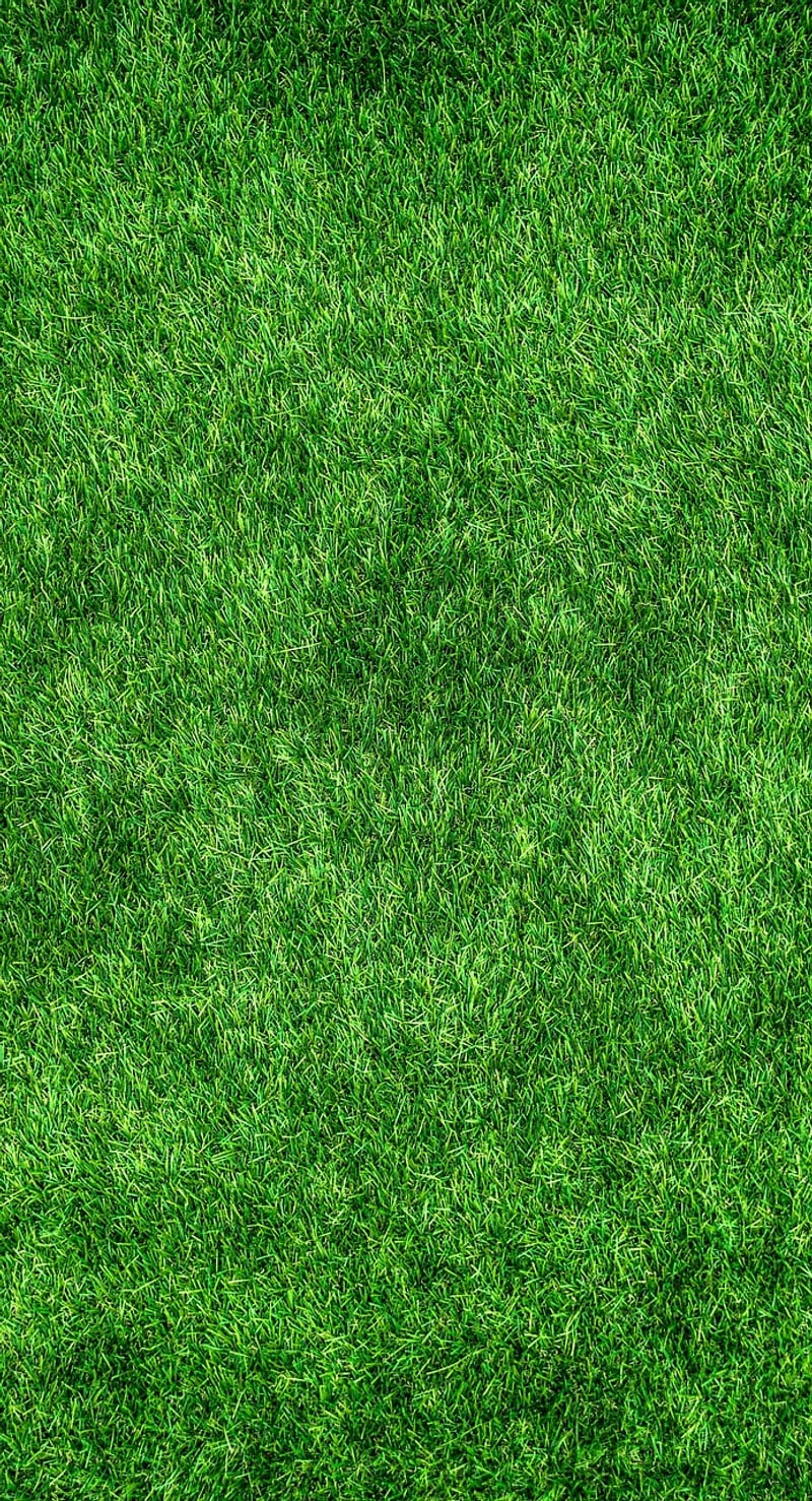 Eco-conscious home practices